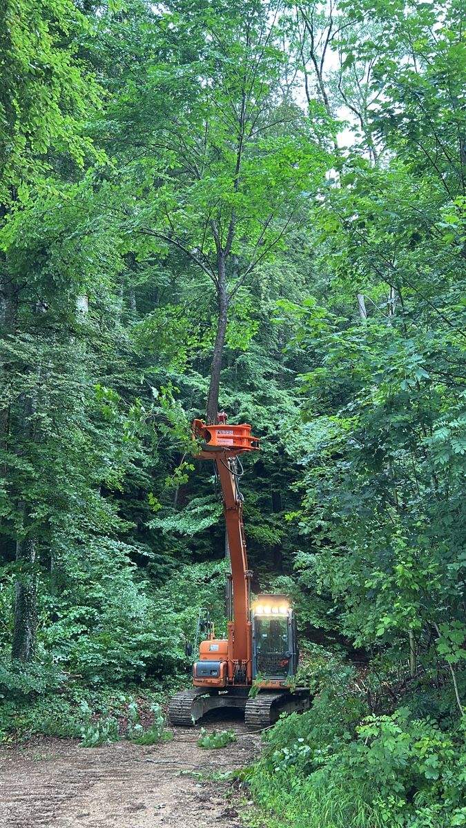 Doosan Escavatori: Bagger Doosan dx 140 – Usato da Lausen venduto da sil_5stv 2