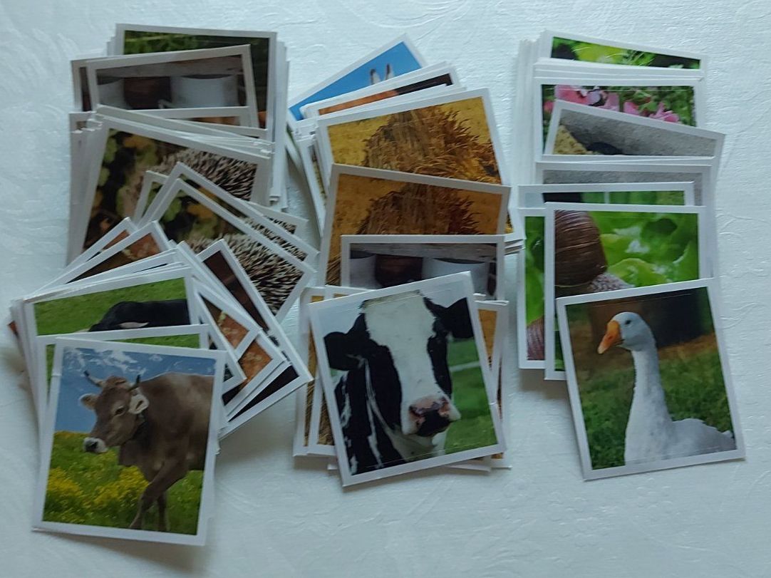 Migros Carte collezionabili: Farmmania, Stickers – Nuovo (secondo la descrizione) da Ittigen venduto da giallosole