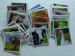 Farmmania, Stickers