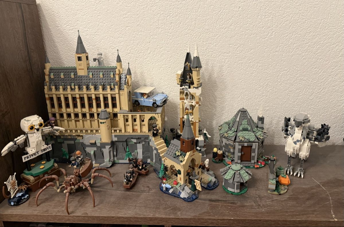 Lego Giocattoli: Lego Harry Potter Sets – Usato da Schwarzenegg venduto da mmaeder93