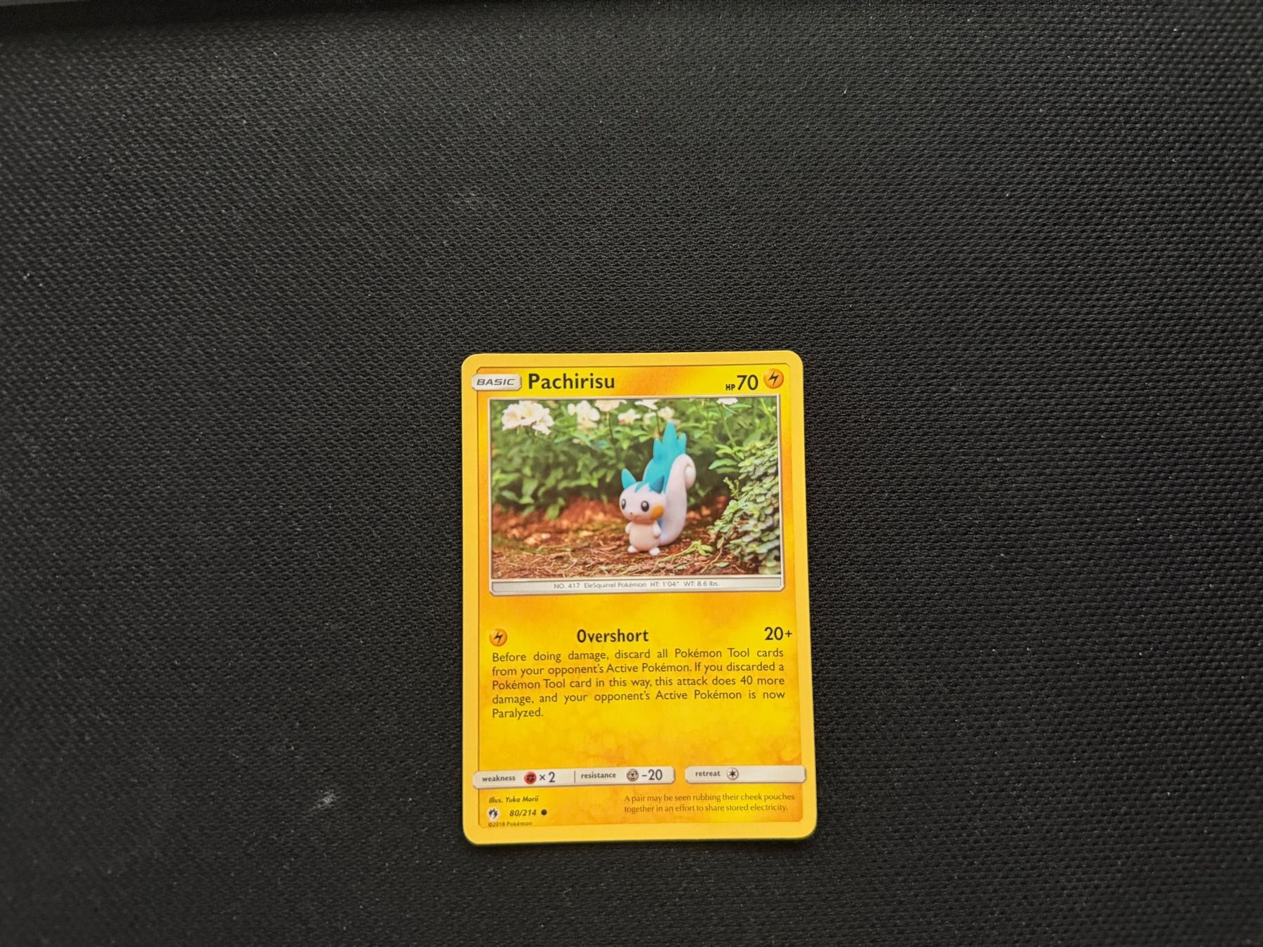Pokémon Cartes à collectionner: Pachirisu 80/214 – D'occasion à Zürich par mountainwizard00