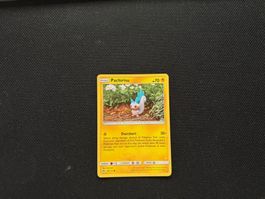 Pachirisu 80/214