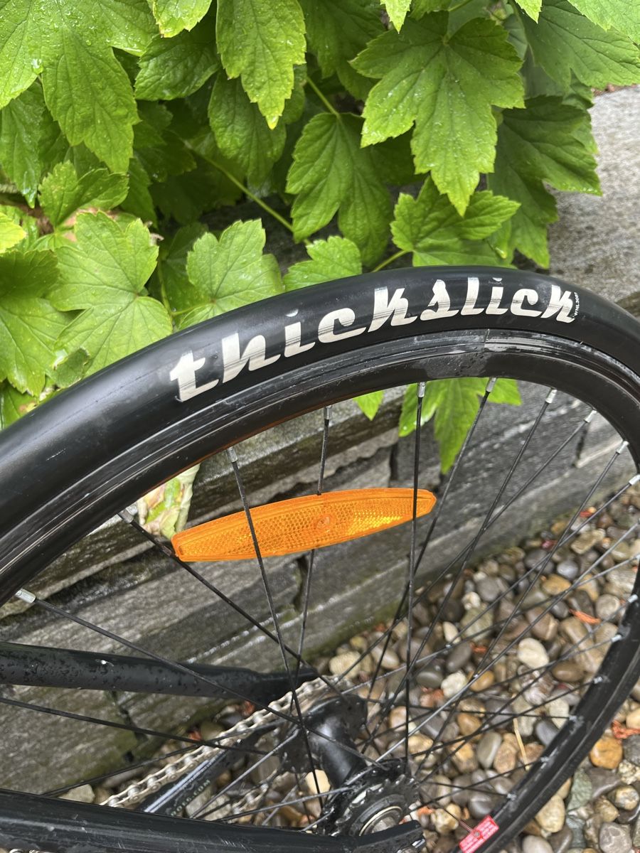 Fixie Inc. Biciclette: Velo Single Speed Fixie  – Usato da Oberrieden venduto da Schnaepplijaeger_24 2