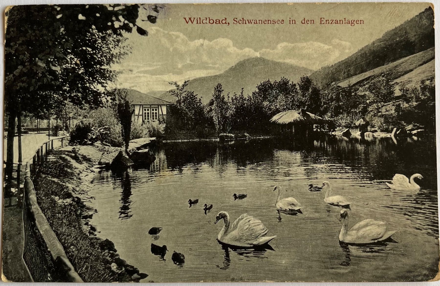 Cartoline postali: Antike Ansichtskarte Bad Wildbad, Schwanensee – Usato da Eschen venduto da ulr_qys2