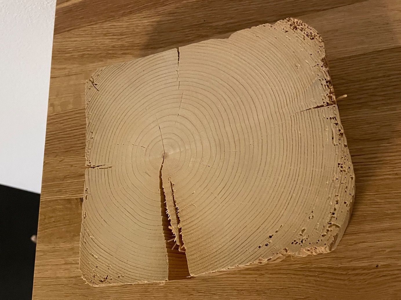 Untersetzer: Holzscheibe zu Deko-Zwecken – Neu (gemäss Beschreibung) aus Gachnang von ch.m 2