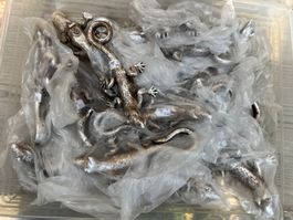 Konvolut 18 Stück Gecco Salamander Deko mit Wandhalterung