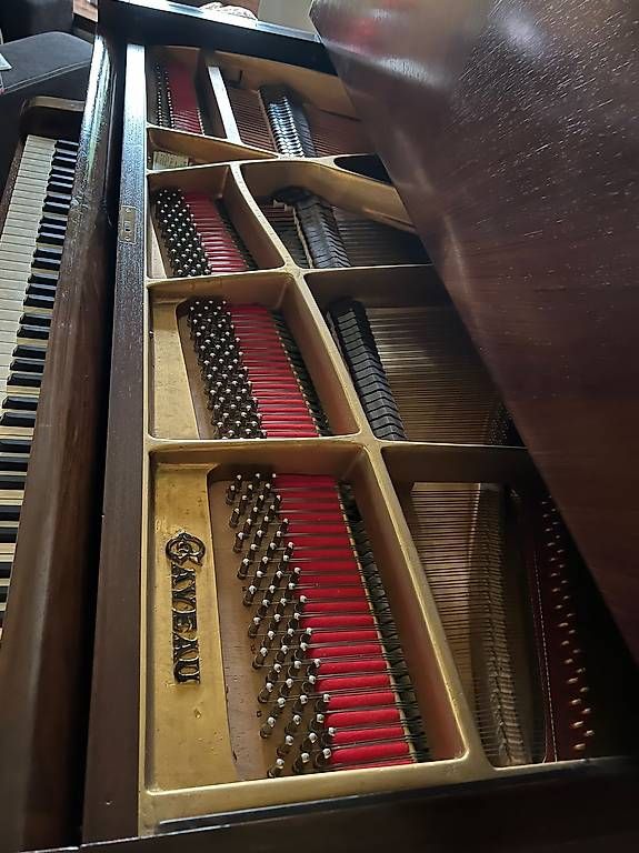 Strumenti musicali: Piano à queue Gaveau - Soleils couchant – Usato da Hünenberg See venduto da Ninouck 2