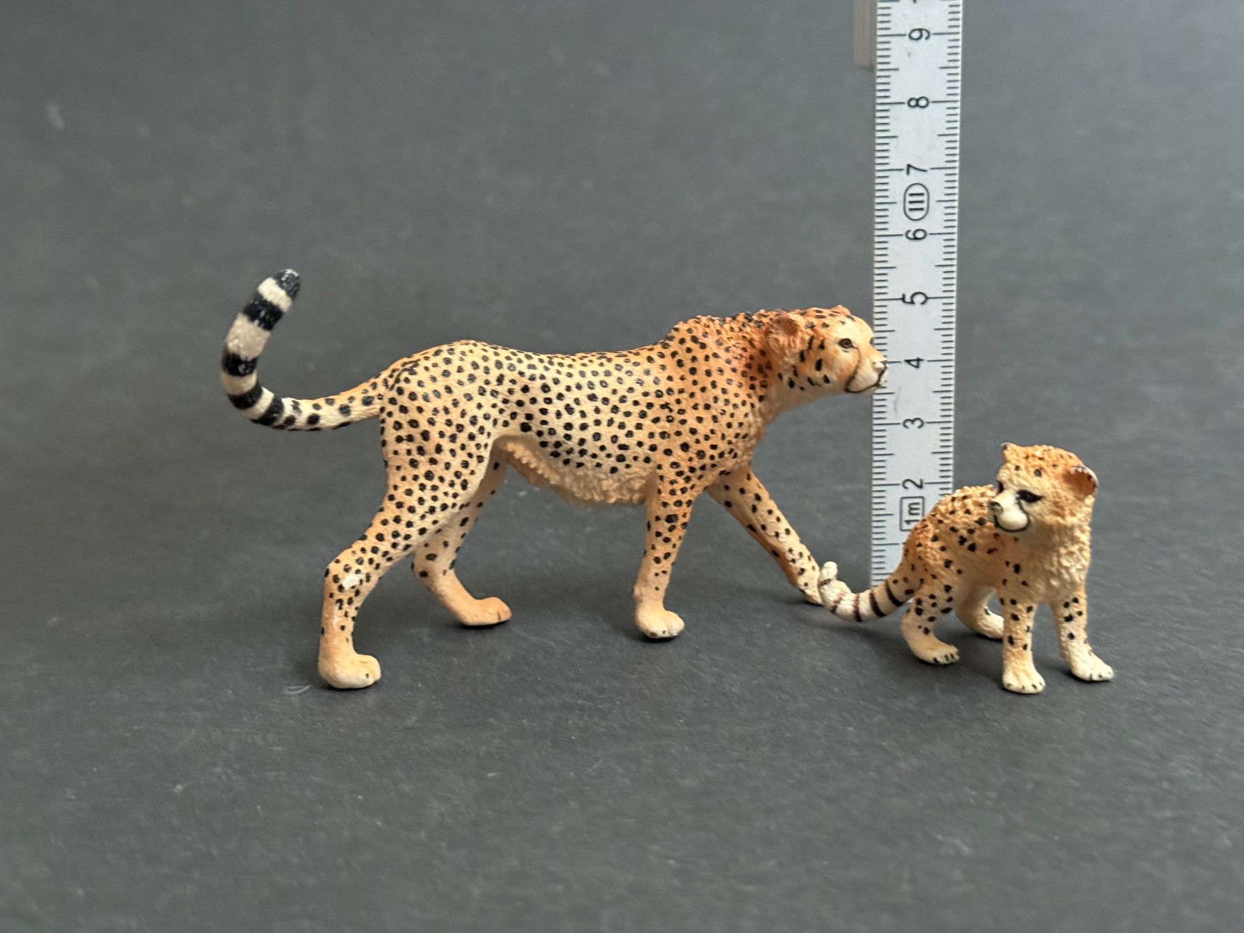 Schleich Statuette: Schleich Gepard mit Gepardenbaby – Usato da Ennetbaden venduto da mapa05 1