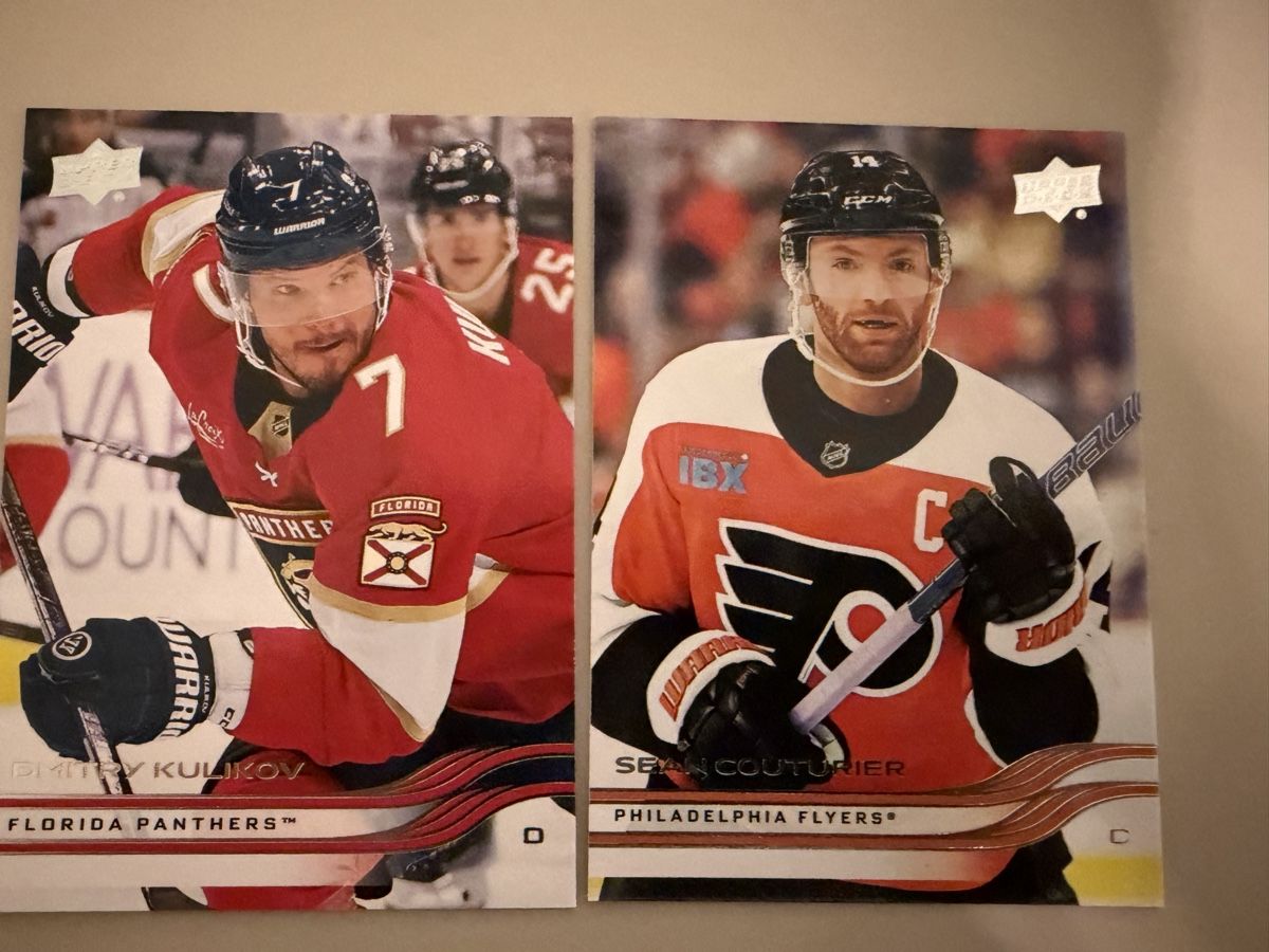 NHL Carte collezionabili: NHL Hockey Card – Usato da Meierskappel venduto da Cc19