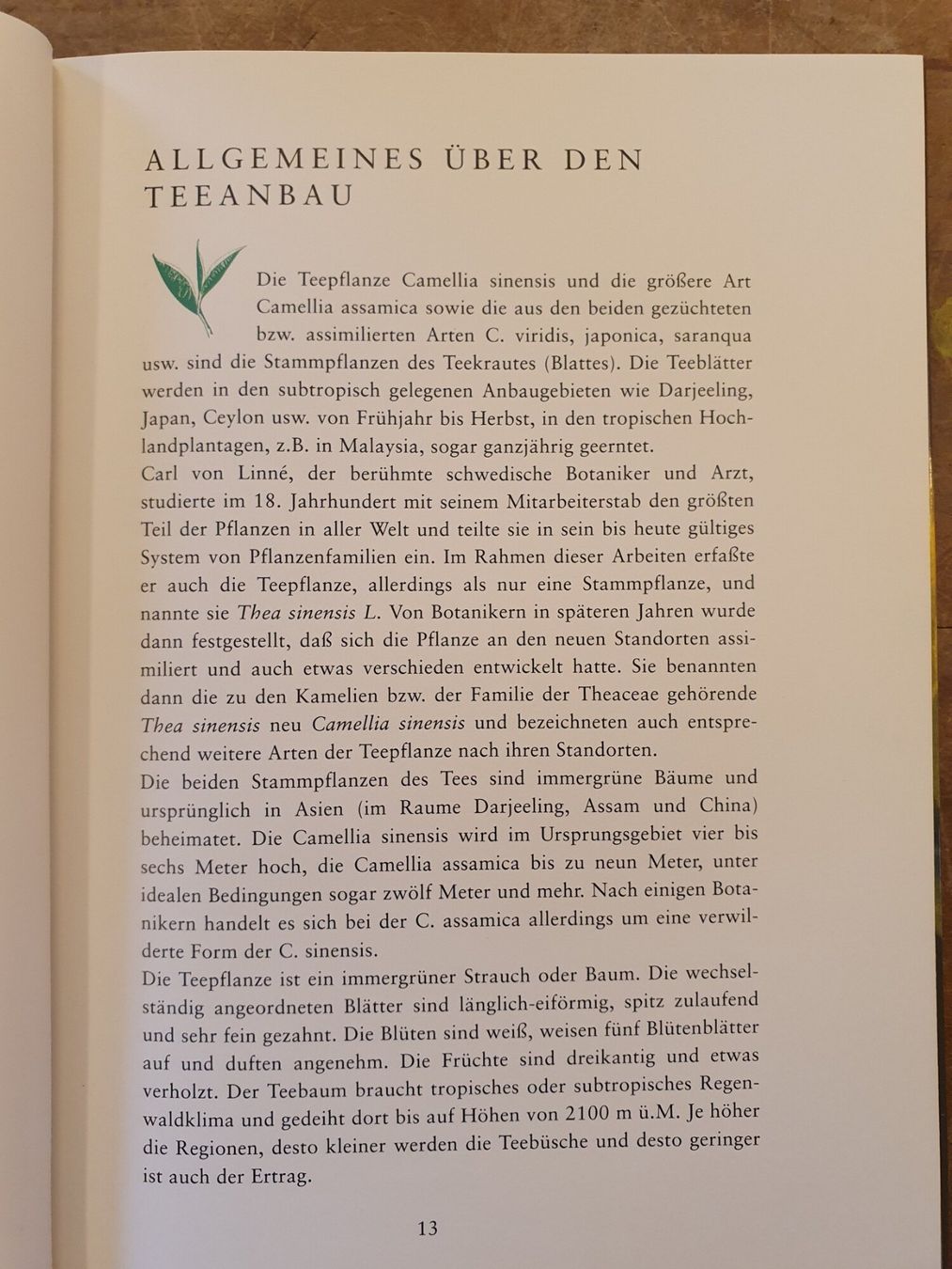 Libri: Der grüne Tee - Peter Oppliger - Midena – Usato da Zürich venduto da loosebone 6