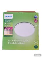 PHILIPS LED Outdoor light | 15 W