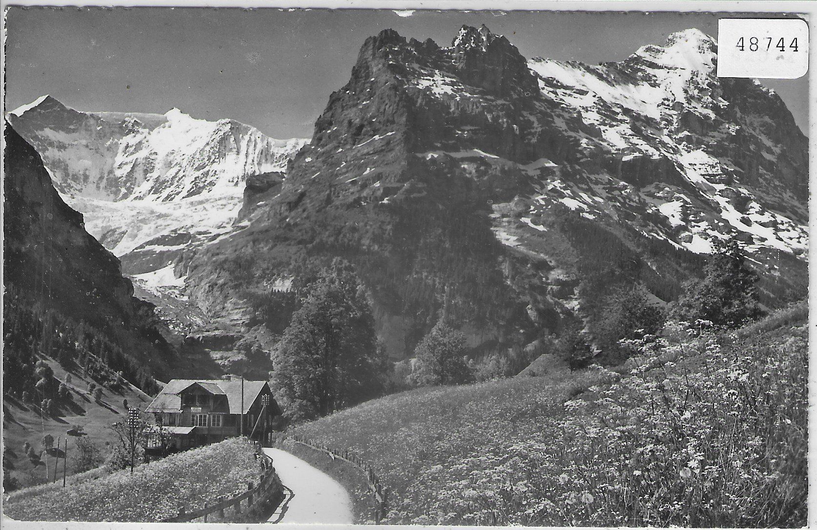 Cartoline postali: Grindelwald - Fiescherwand mit Eiger – Usato da Ettingen venduto da Kartenplanet
