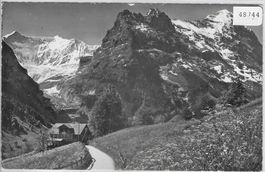 Grindelwald - Fiescherwand mit Eiger