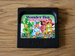 Wonder Boy - The Dragon's Trap