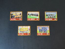 Panini WM 2026 - 5 Goldene Teamfotos - KEINE DOPPELTEN