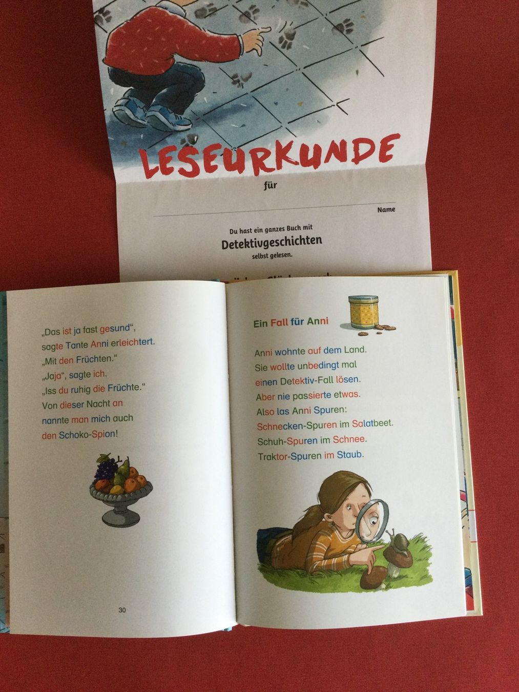 Libri: Leselöwen Detektivgeschichten 2.Klasse – Usato da Boppelsen venduto da KASIBO 1