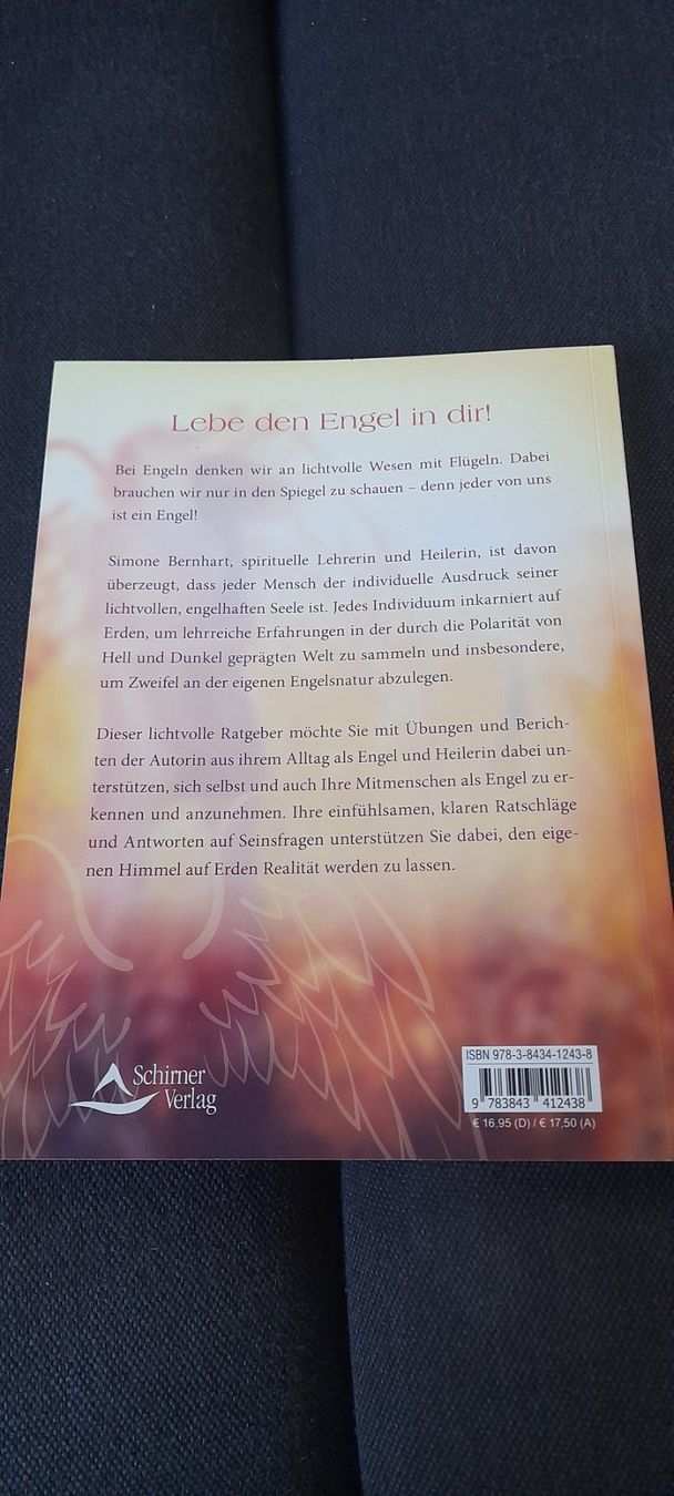 Libri: Engel sein, lebe den Engel in dir – Nuovo (secondo la descrizione) da Küssnacht am Rigi venduto da Froh-Herz 1