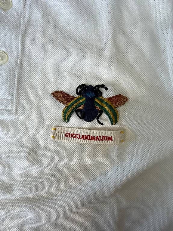Magliette Polo: POLO GUCCI BLANC – Usato da Lausanne venduto da pas_dqy6 2