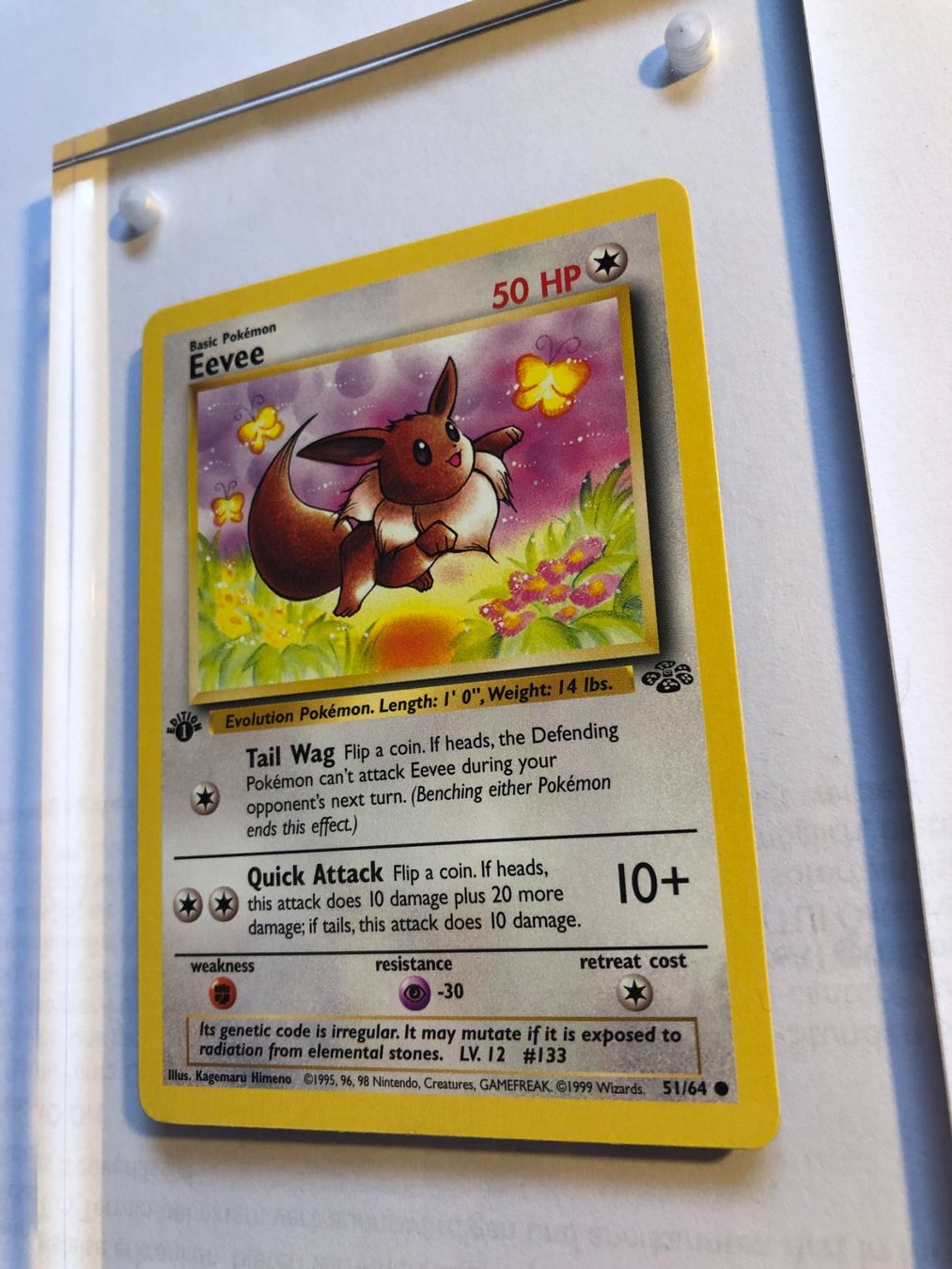Cartes à collectionner: Eevee 1st Jungle - MINT - ab 1.- – D'occasion à Giubiasco par dan_pr8b 2