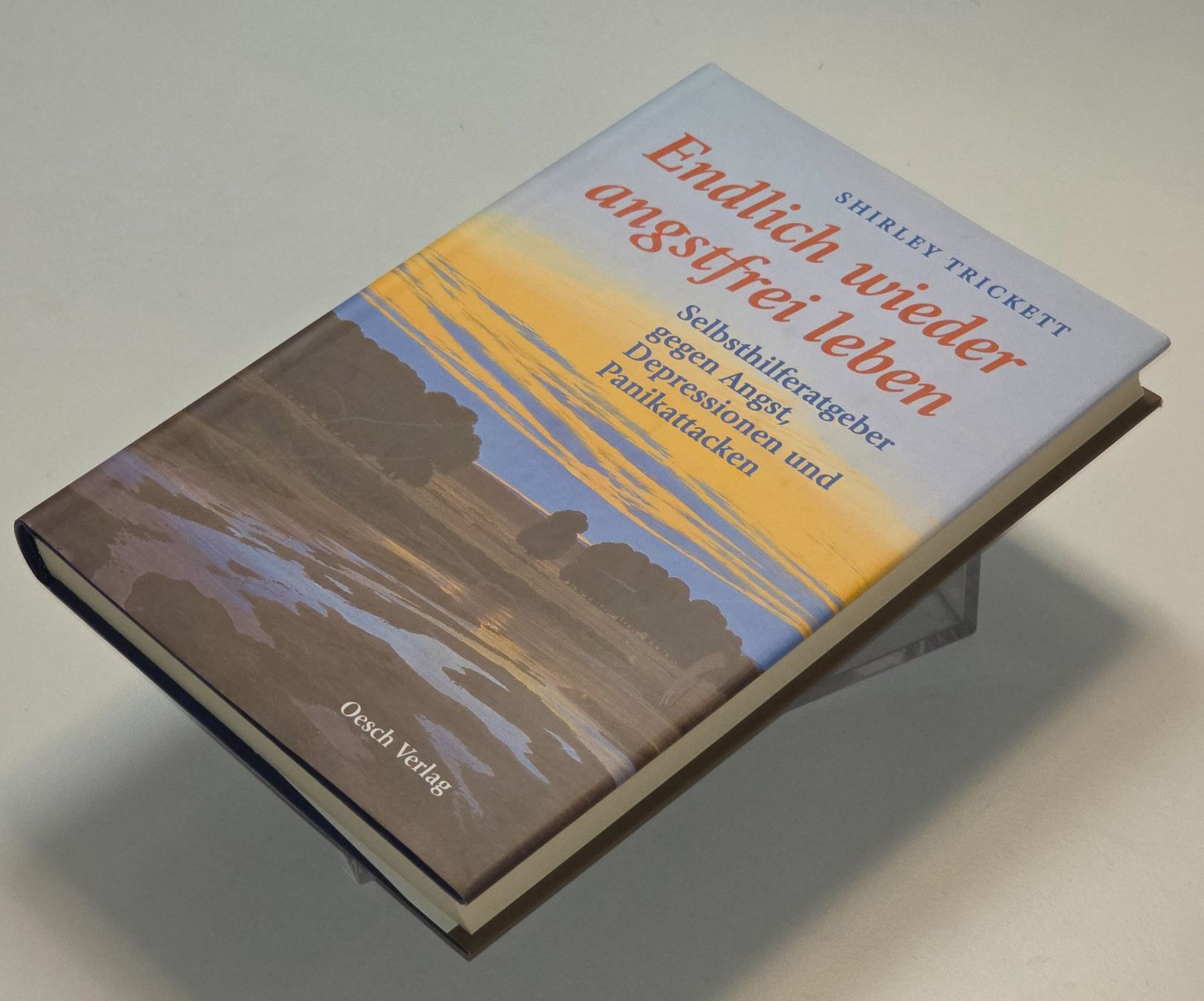 Libri: WIEDER ANGSTFREI LEBEN Selbsthilfe Panikattacken Depression – Nuovo (secondo la descrizione) da Dürnten venduto da Bachtelrider_ 1