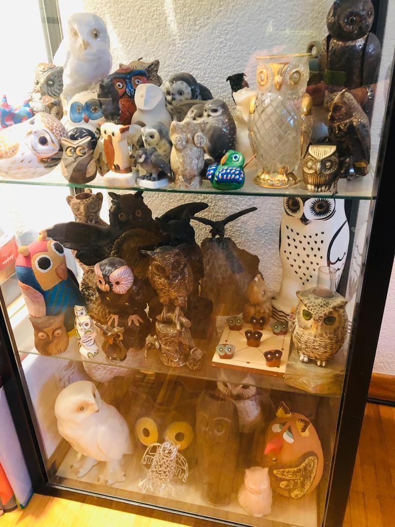 Vetrine: Vitrine mit ca. 300 Eulen zu verkaufen – Usato da Bern venduto da Tresor1952 3
