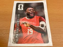 Cola Panini Alphonso Davies (Nr. CC7)
