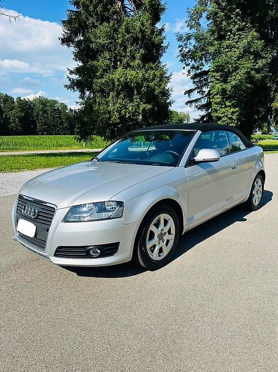 Audi Automobili: Audi A3 Cabrio frisch ab Service – Usato da Meilen venduto da Carpi 1