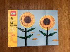 LEGO 40524 Sunflowers Building Toy 191 pcs