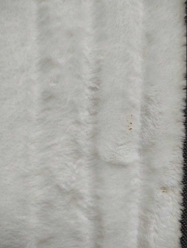 Tapis: Conforama Teppich, Soft – D'occasion à Rudolfstetten par Foxj 5