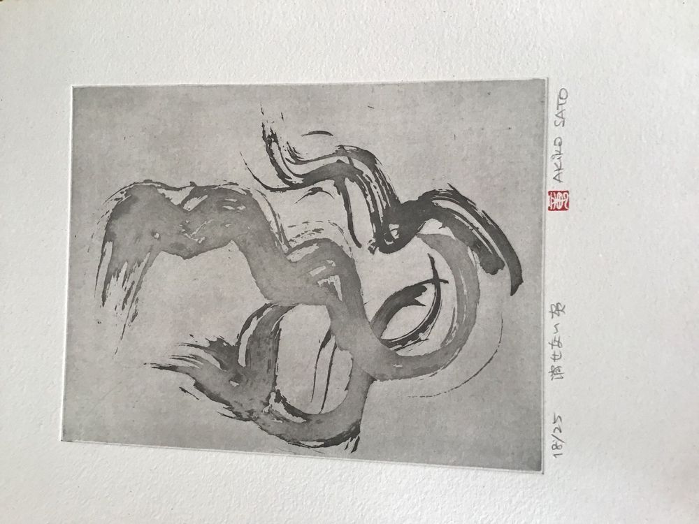 Sato Akiko Kaufen auf Ricardo