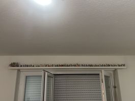 Lego Minifigure Series Sammlung guter Zustand ca 60 stück