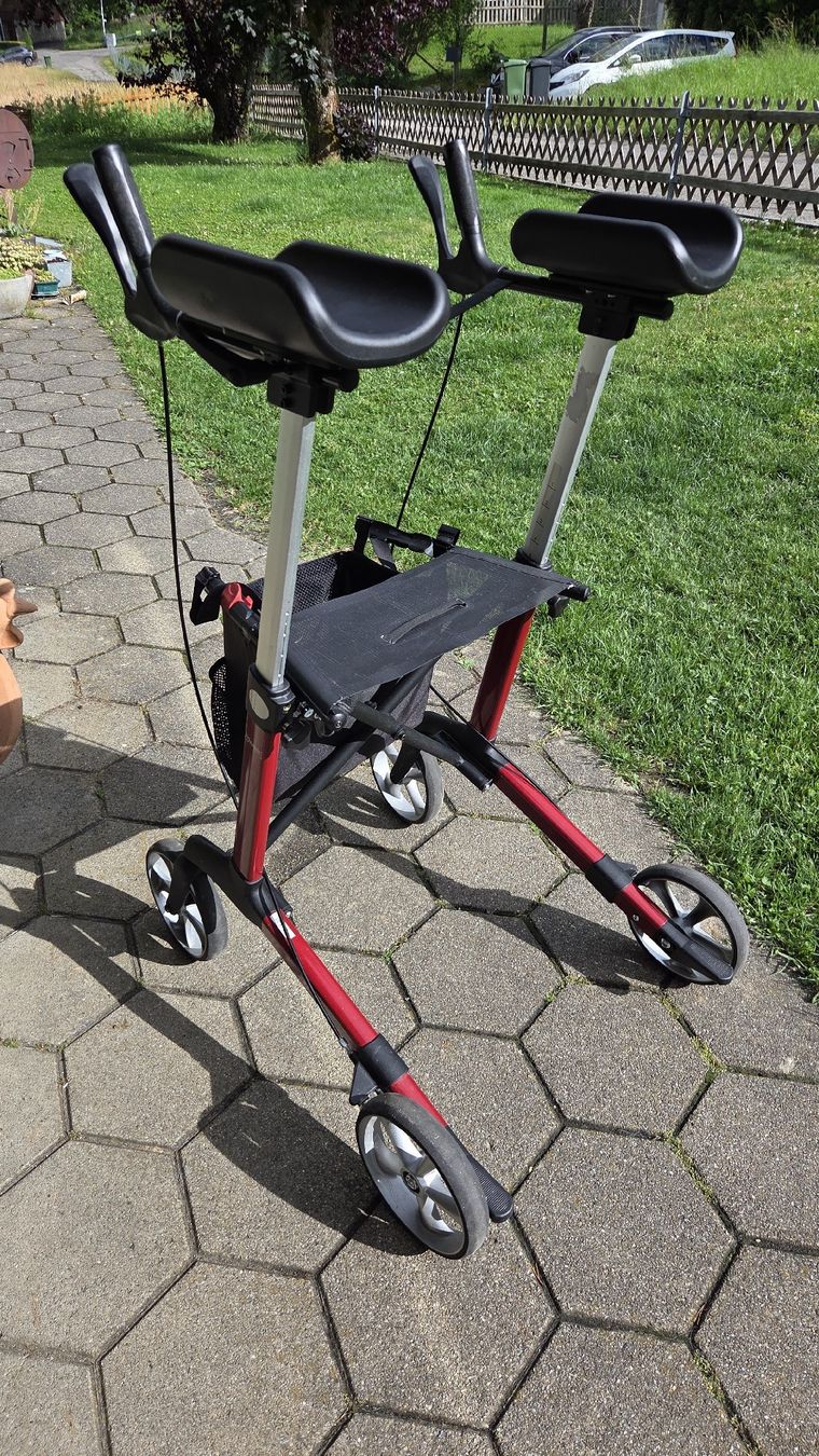 Ausili per la deambulazione: Birkenrot Indoor Rollator – Usato da Pfeffikon LU venduto da Spiderpig1991 1