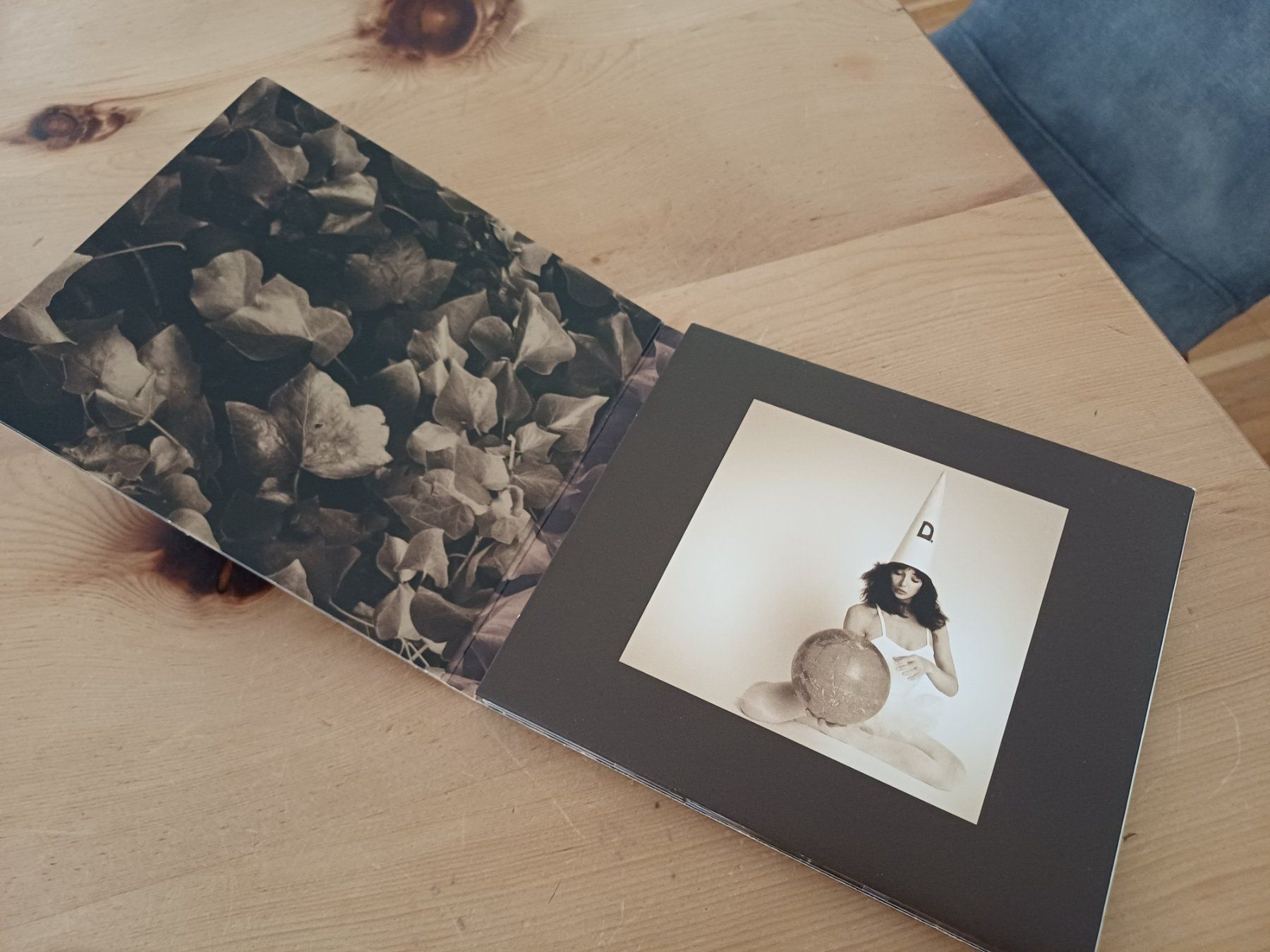 CD: Kate Bush Dreaming 2018 Reissue, Remastered – Usato da Jona venduto da Rreto71 2
