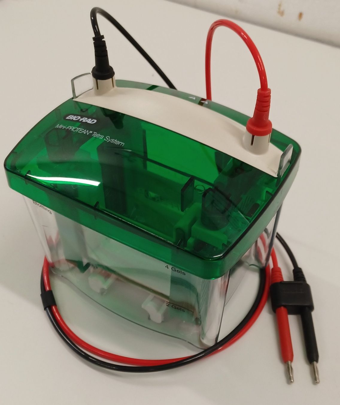 Accessori da laboratorio: Bio-Rad Mini PROTEAN Tetra Cell – Difettoso da Niederdorf venduto da LeptonAG_Labor