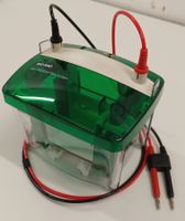 Bio-Rad Mini PROTEAN Tetra Cell