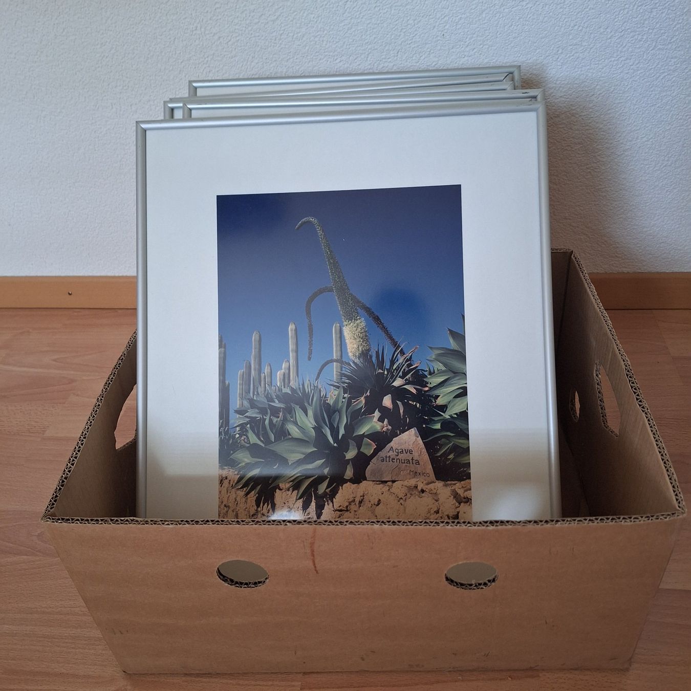 Foto & Immagini: -8- Bilderrahmen mit div. Fotos – Usato da Schöftland venduto da casalti