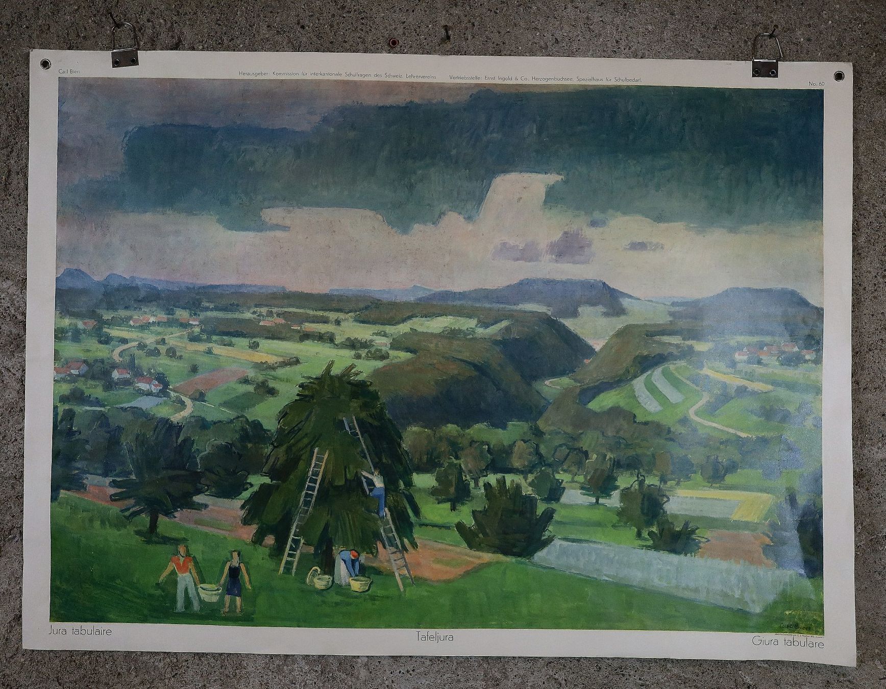 Foto & Immagini: Schulwandbild "Tafeljura" – Usato da Birrwil venduto da brandschatz_birrwil 1