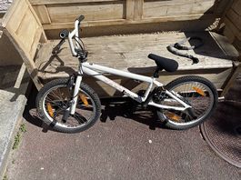 BMX freestyle UMF