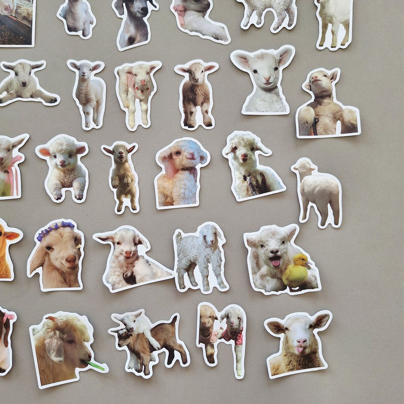 Sticker: 50 Aufkleber Sticker - Lamm Schaf – Nuovo e nell'imballaggio originale da Basel venduto da kun_2hnm 4