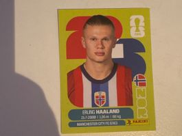 WM 2026 Panini - Erling Haaland - NOR 15