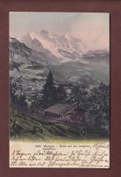 WENGEN - Blick auf Jungfrau - 1910