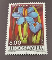 Jugoslawien 1975 Blumen
