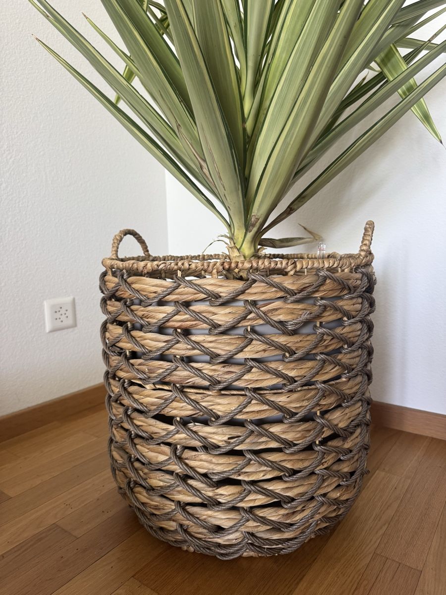 Altro per la casa: Geflochtene Korb H48xB45cm 50 Fr – Nuovo (secondo la descrizione) da Zürich venduto da Ekaterinek 4