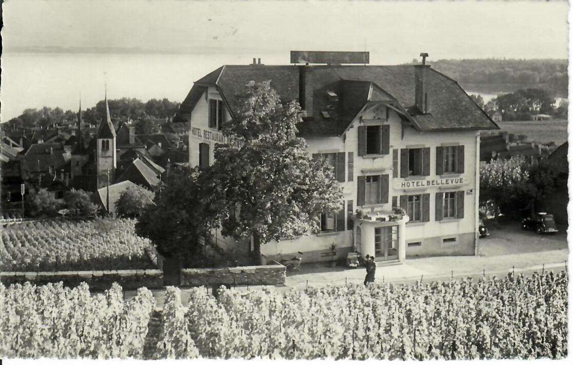 Ansichtskarten: Hôtel Bellevue Auvernier 1952 – Gebraucht aus Hochdorf von Ziegel-16