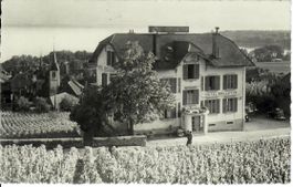 Hôtel Bellevue Auvernier 1952