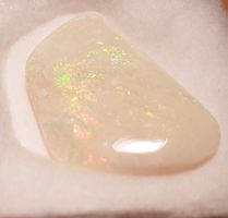 Australischer Opal 11.82 ct – naturbelassen, Freiform