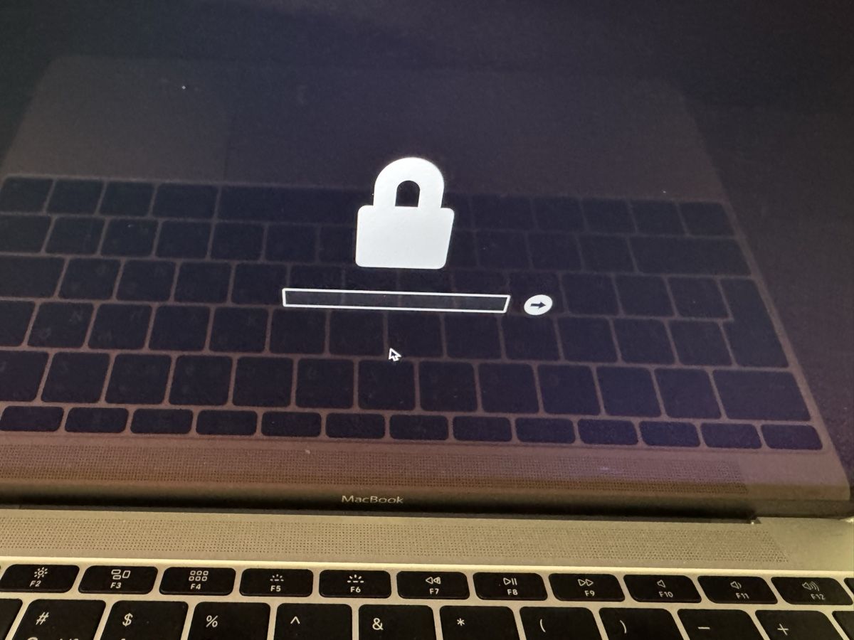 Apple Notebook: MacBook 12 Retina Early 2015 – Usato da Adliswil venduto da Busys 5