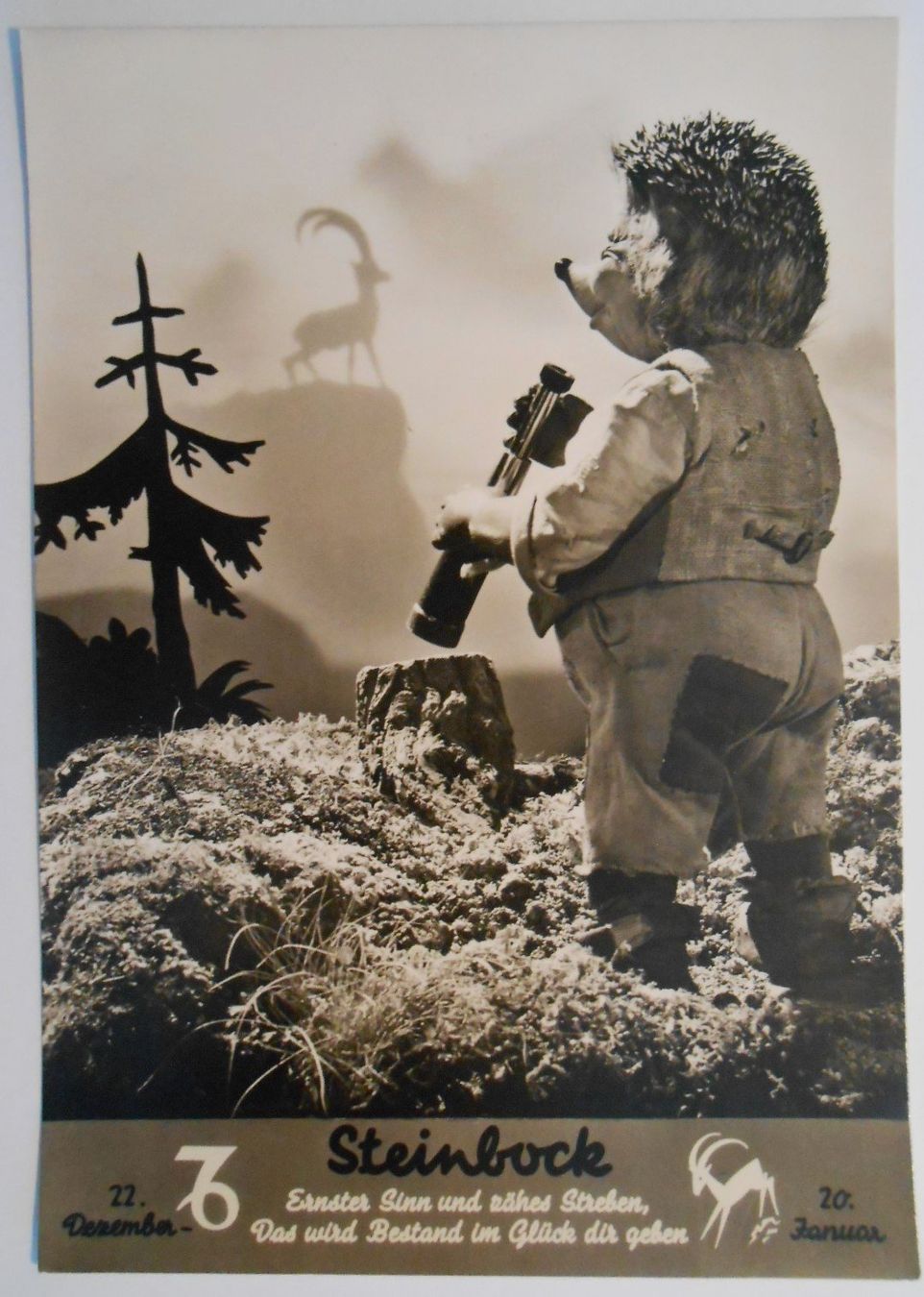 Cartoline postali: MECKI 501, Sternzeichen Steinbock – Usato da Bülach venduto da anska