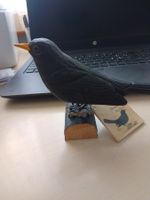 Amsel, holzgeschnitzt