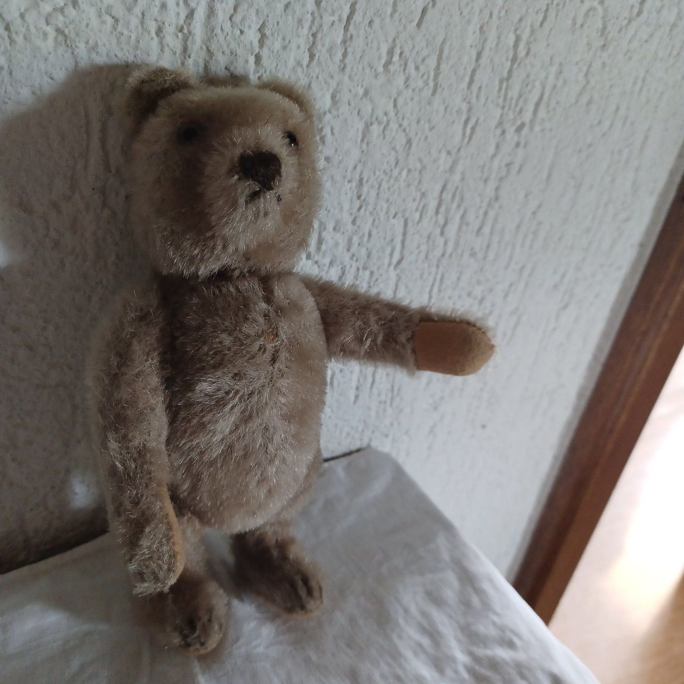 Steiff Giocattoli: Steiff Bär 21 cm gross um 1960 – Usato da Abtwil SG venduto da luupsy 1